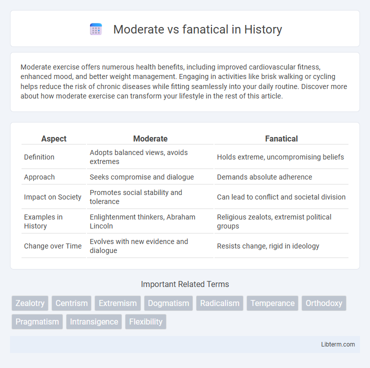 fanatical vs Moderate in History - What is The Difference?