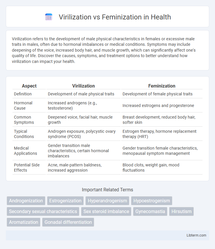 Feminization vs Virilization in Health - What is The Difference?