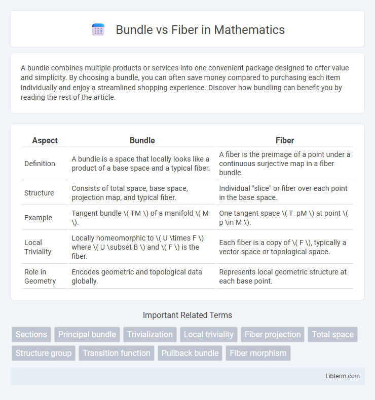 Fiber vs Bundle in Mathematics - What is The Difference?