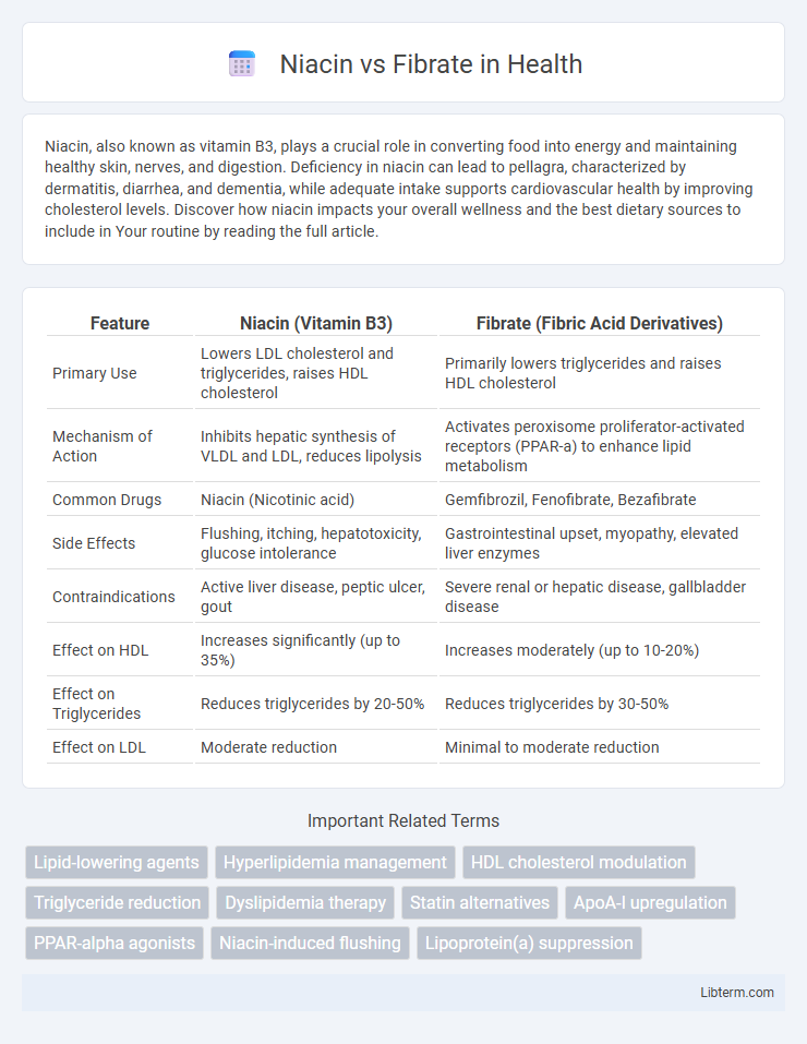 Fibrate vs Niacin in Health - What is The Difference?