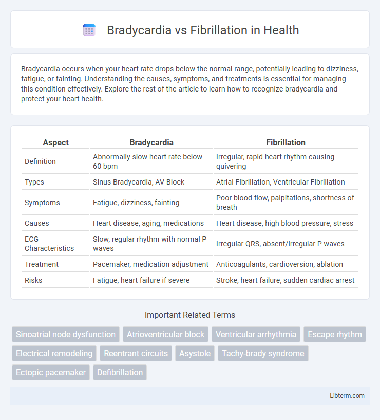 Fibrillation vs Bradycardia in Health - What is The Difference?