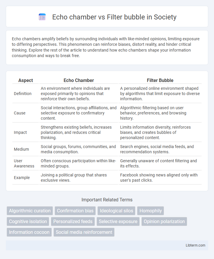 Filter bubble vs Echo chamber in Society - What is The Difference?