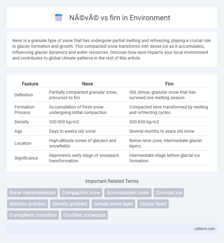 firn vs Névé in Environment - What is The Difference?