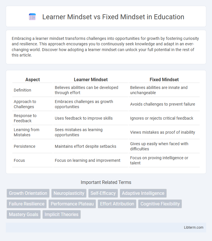 Fixed Mindset vs Learner Mindset in Education - What is The Difference?