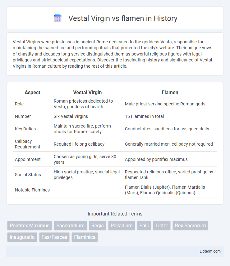 flamen vs Vestal Virgin in History - What is The Difference?