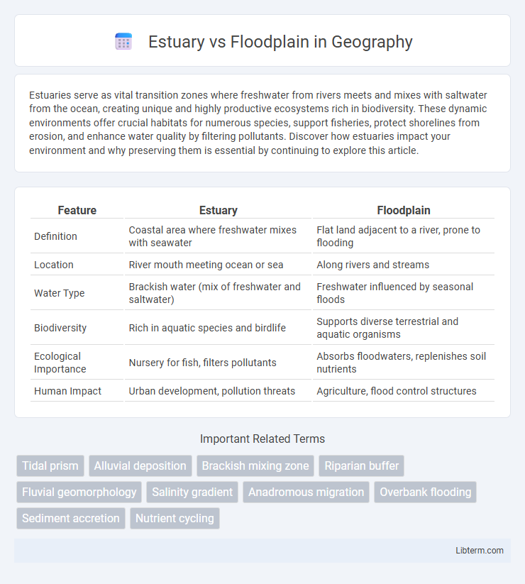 Floodplain vs Estuary in Geography - What is The Difference?
