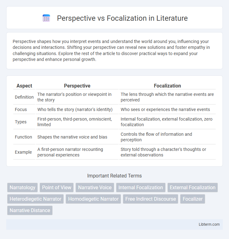 Focalization vs Perspective in Literature - What is The Difference?