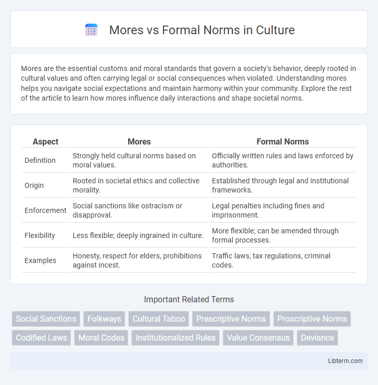 Formal Norms vs Mores in Culture - What is The Difference?