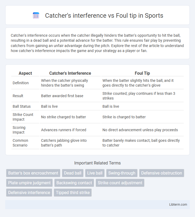 Foul tip vs Catcher's interference in Sports - What is The Difference?