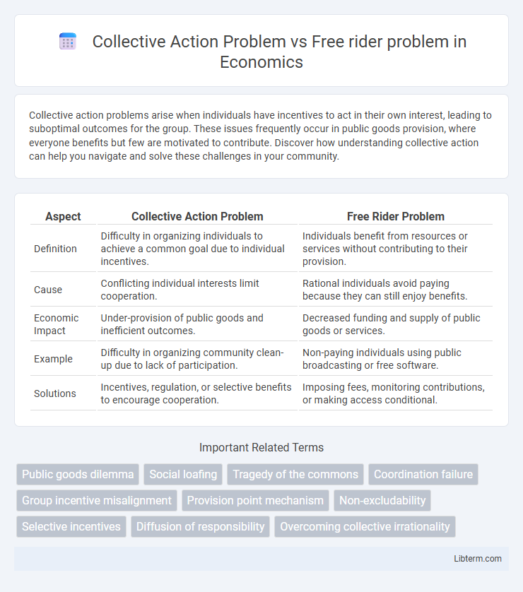 Free rider problem vs Collective Action Problem in Economics - What is The Difference?