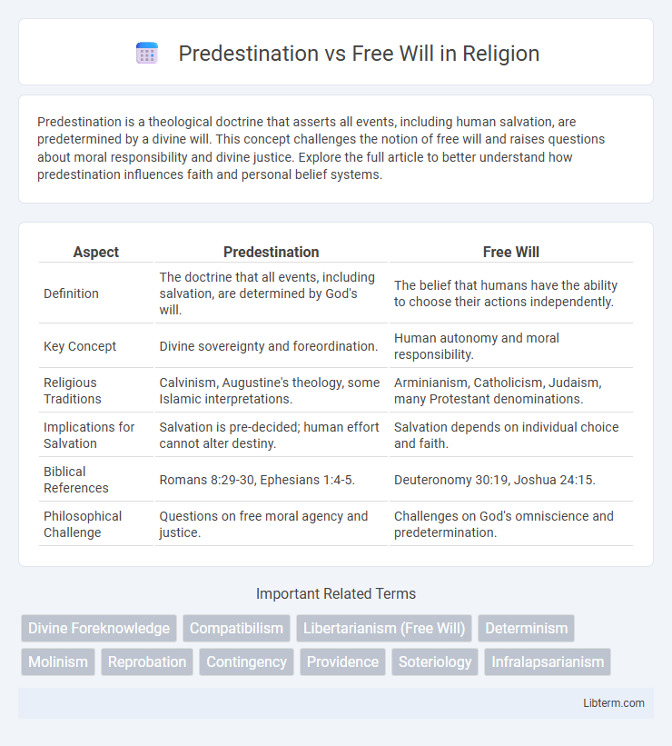 Free Will vs Predestination in Religion - What is The Difference?