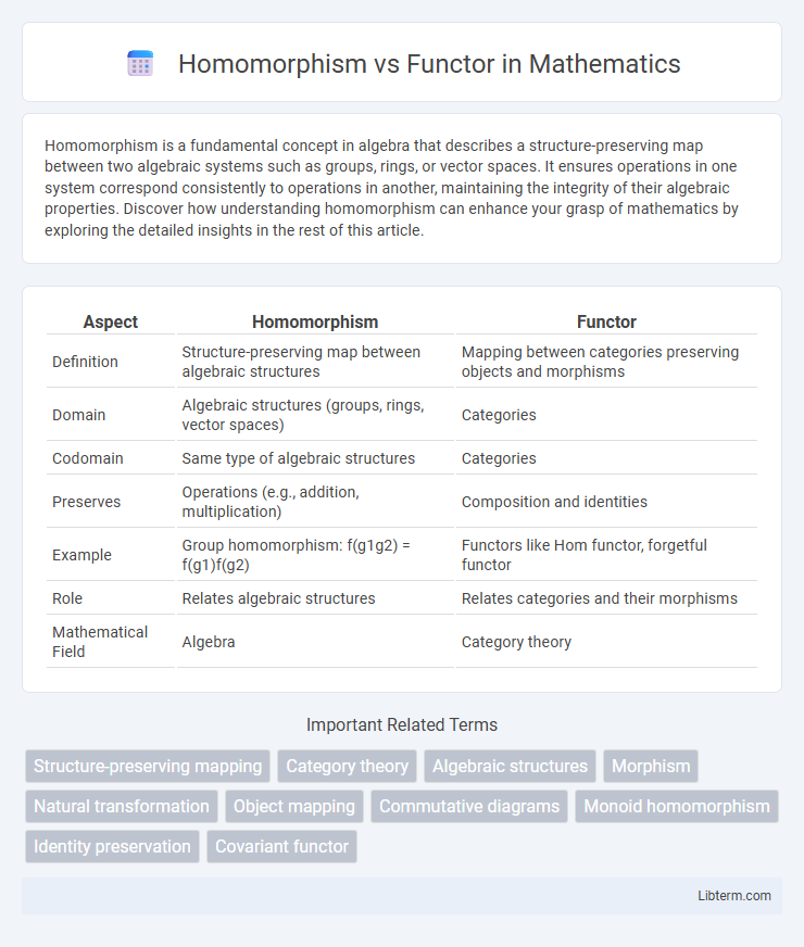 Functor vs Homomorphism in Mathematics - What is The Difference?