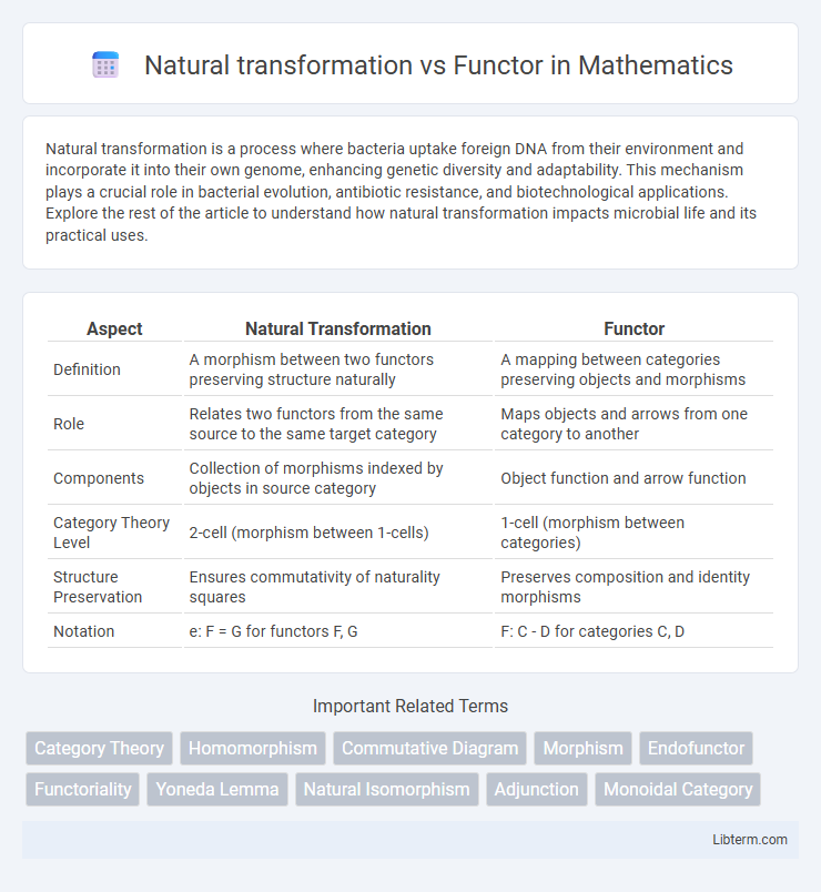 Functor vs Natural transformation in Mathematics - What is The Difference?