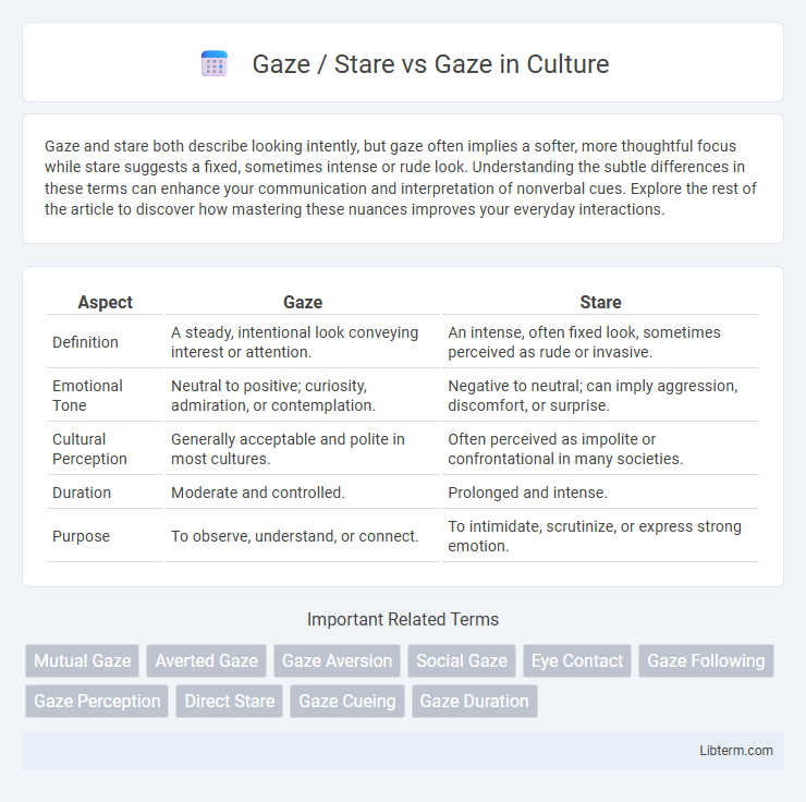 Gaze vs Gaze / Stare in Culture - What is The Difference?