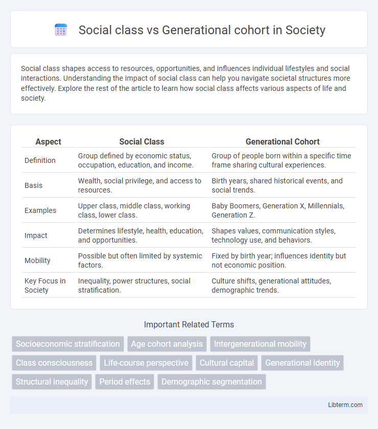 Generational cohort vs Social class in Society - What is The Difference?