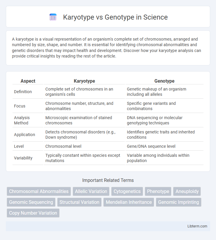 Genotype vs Karyotype in Science - What is The Difference?