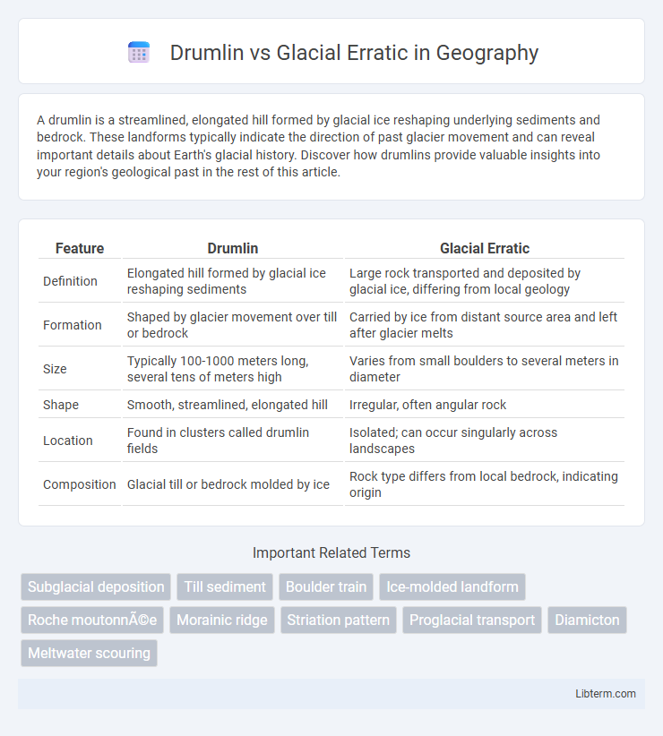 Glacial Erratic vs Drumlin in Geography - What is The Difference?