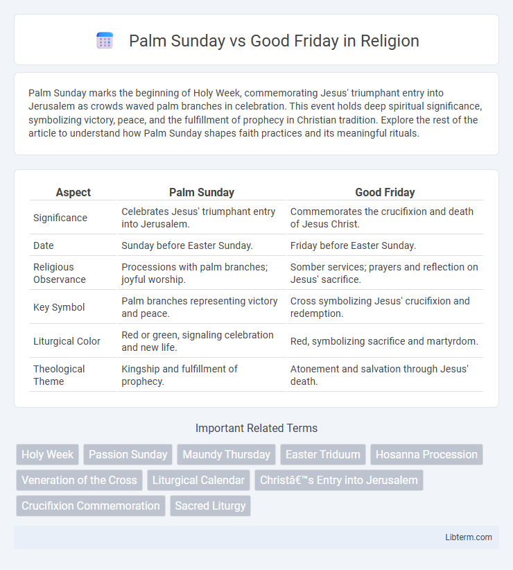 Good Friday vs Palm Sunday in Religion - What is The Difference?
