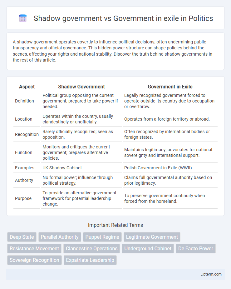Government in exile vs Shadow government in Politics - What is The Difference?