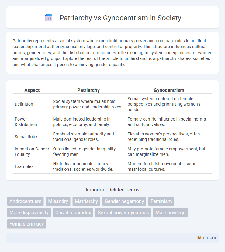 Gynocentrism vs Patriarchy in Society - What is The Difference?