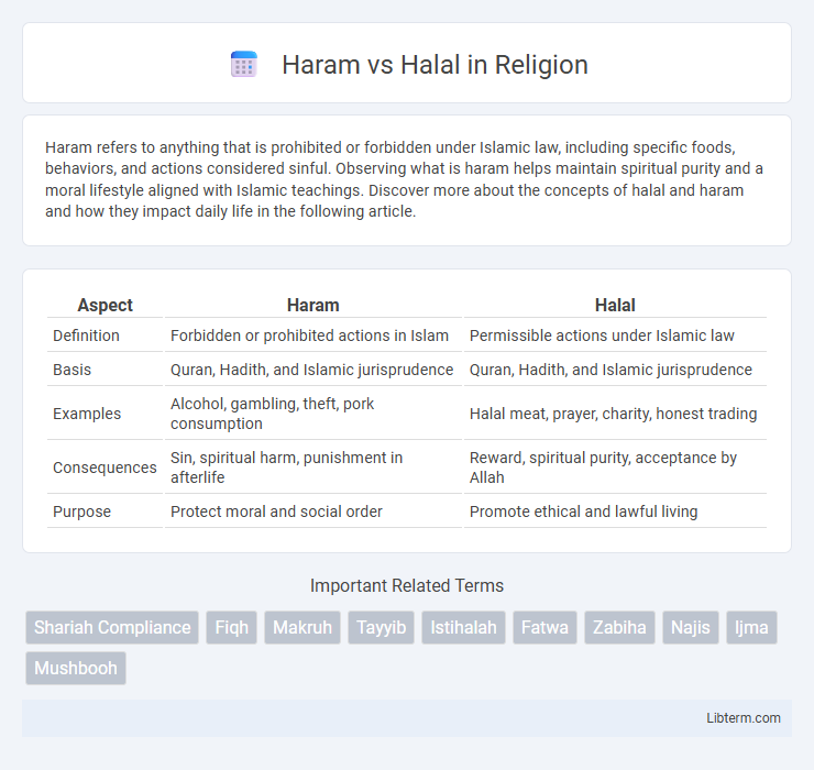 Halal vs Haram in Religion - What is The Difference?