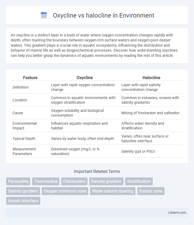 halocline vs Oxycline in Environment - What is The Difference?