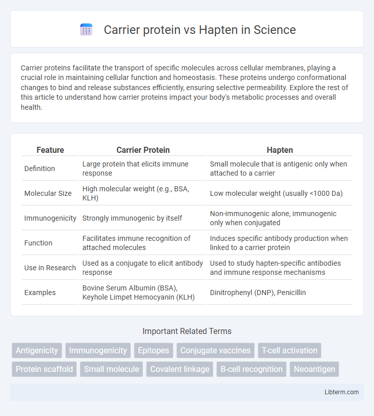 Hapten vs Carrier protein in Science - What is The Difference?