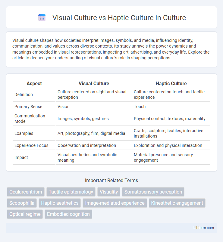Haptic Culture vs Visual Culture in Culture - What is The Difference?