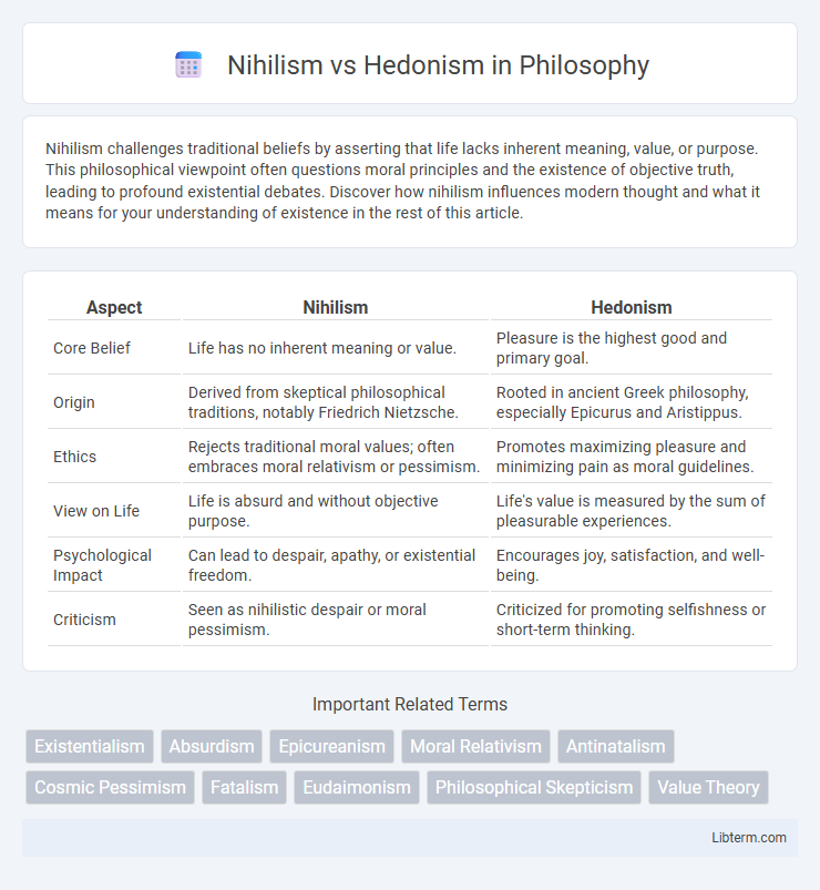 Hedonism vs Nihilism in Philosophy - What is The Difference?