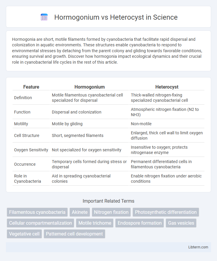 Heterocyst vs Hormogonium in Science - What is The Difference?