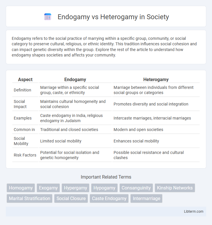 Heterogamy vs Endogamy in Society - What is The Difference?