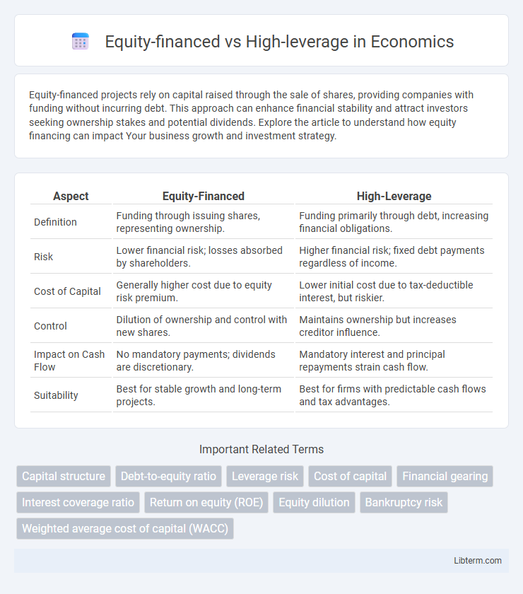 High-leverage vs Equity-financed in Economics - What is The Difference?