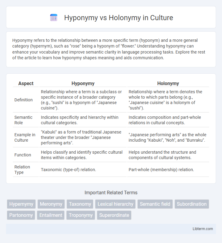 Holonymy vs Hyponymy in Culture - What is The Difference?