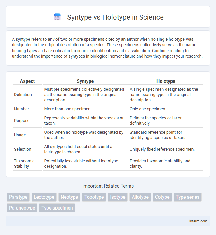 Holotype vs Syntype in Science - What is The Difference?