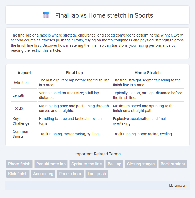 Home stretch vs Final lap in Sports - What is The Difference?