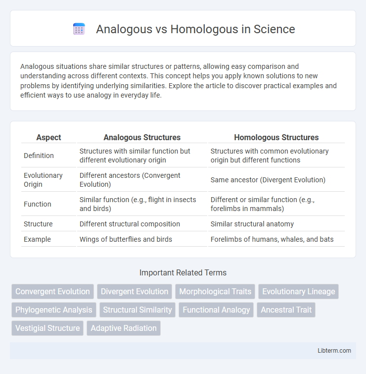 Homologous vs Analogous in Science - What is The Difference?