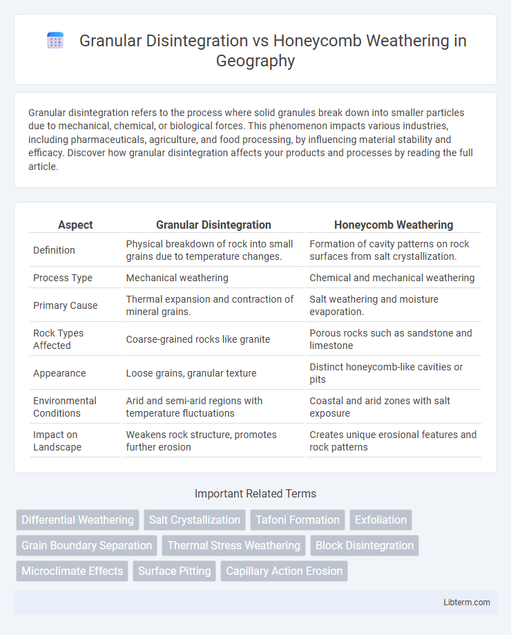 Honeycomb Weathering vs Granular Disintegration in Geography - What is The Difference?