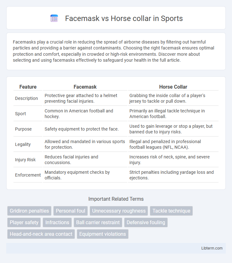 Horse collar vs Facemask in Sports - What is The Difference?