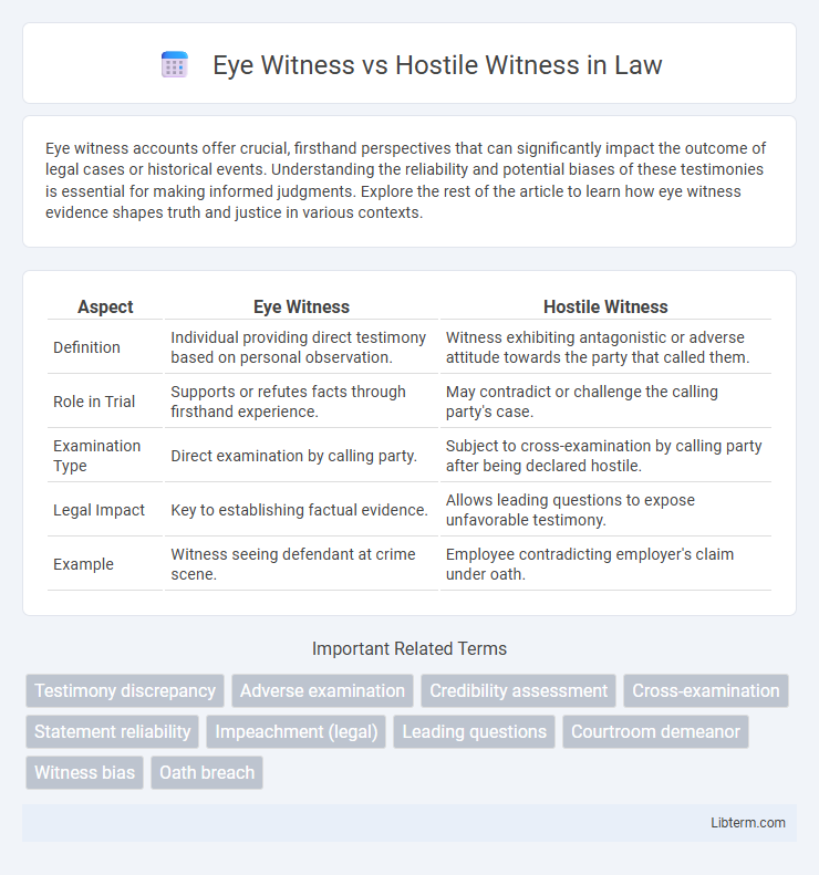 Hostile Witness vs Eye Witness in Law - What is The Difference?