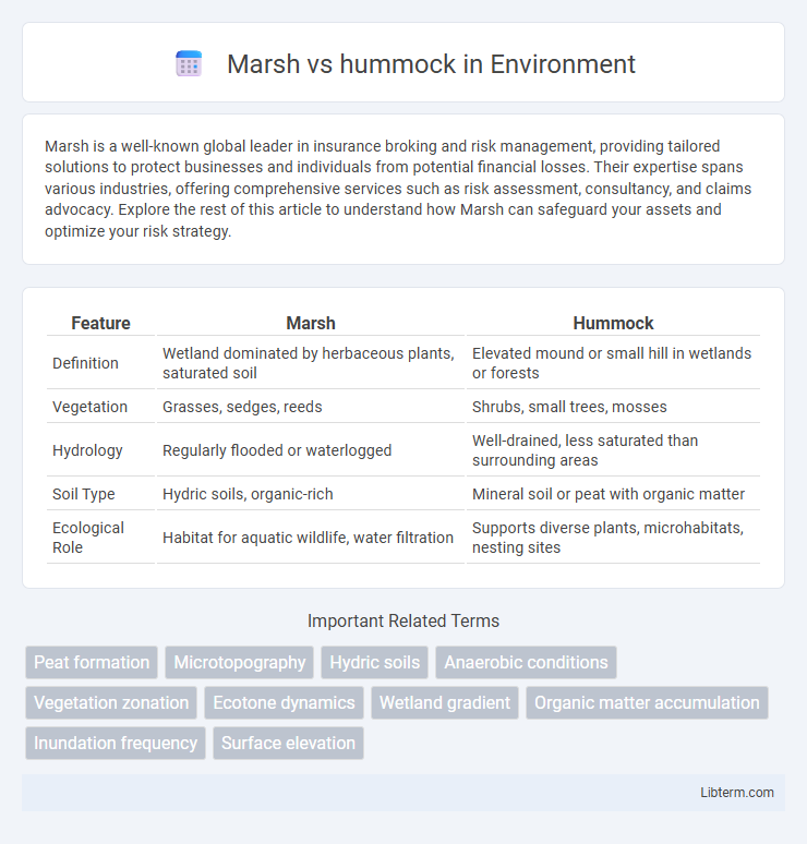 hummock vs Marsh in Environment - What is The Difference?