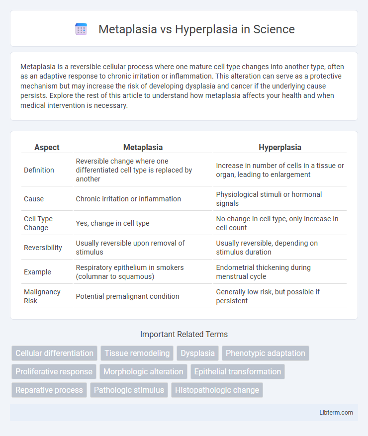 Hyperplasia vs Metaplasia in Science - What is The Difference?