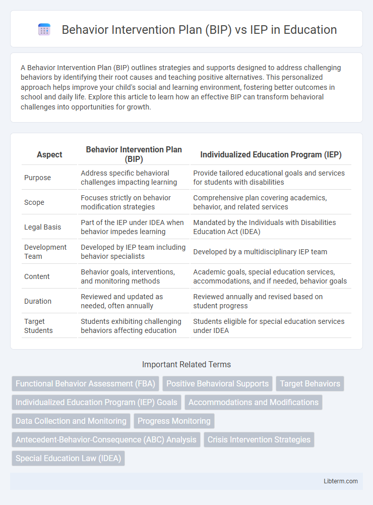 IEP vs Behavior Intervention Plan (BIP) in Education - What is The Difference?