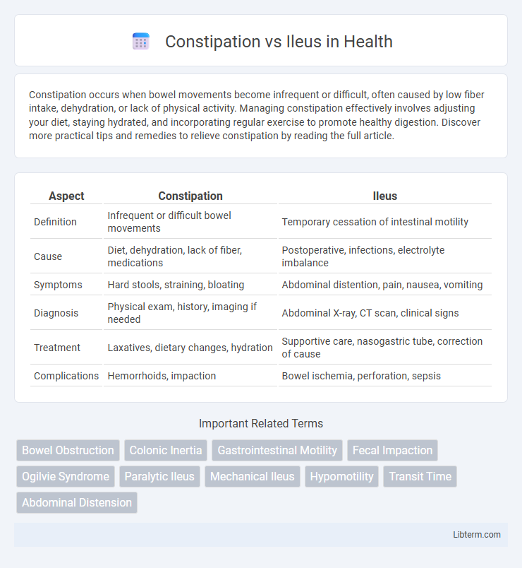 Ileus vs Constipation in Health - What is The Difference?