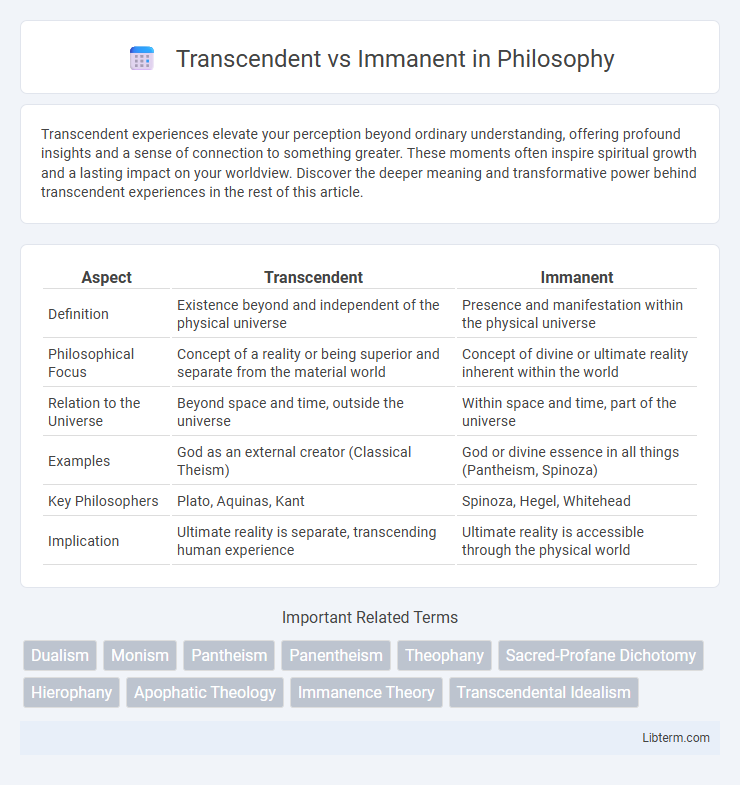 Immanent vs Transcendent in Philosophy - What is The Difference?