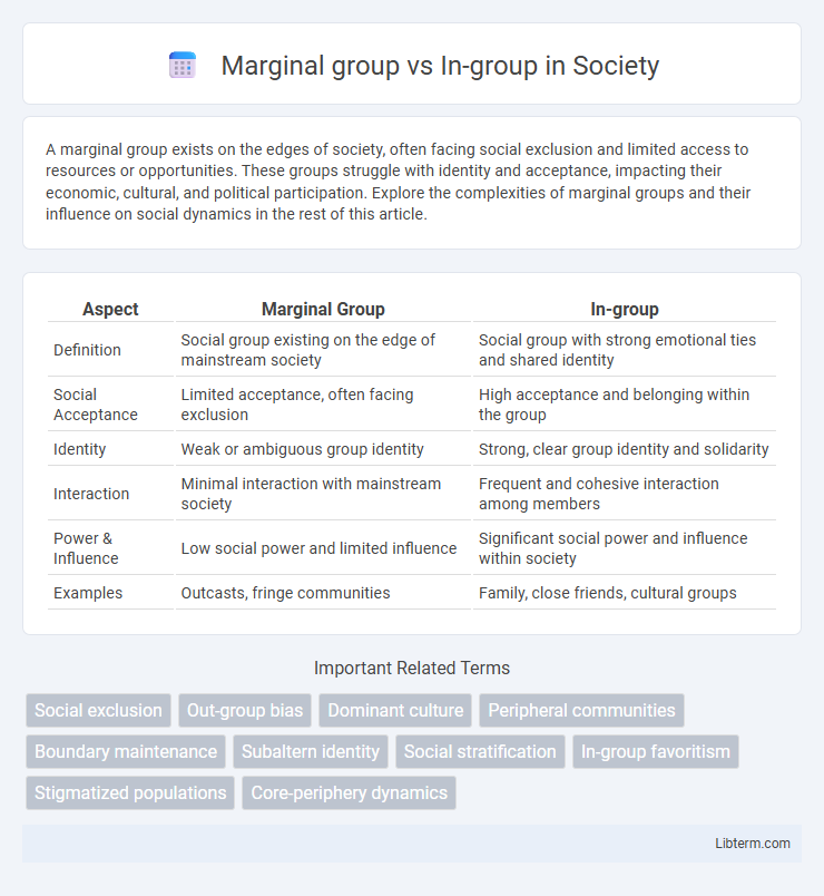 In-group vs Marginal group in Society - What is The Difference?