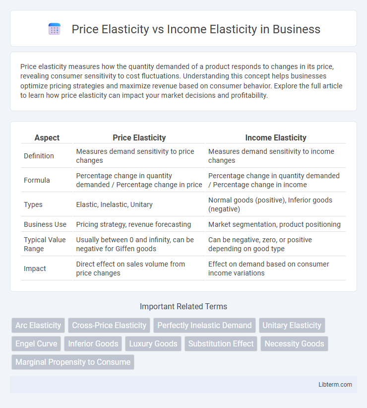 Income Elasticity vs Price Elasticity in Business - What is The Difference?
