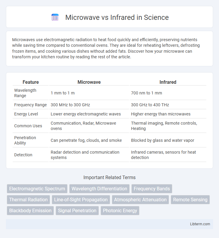 Infrared vs Microwave in Science - What is The Difference?