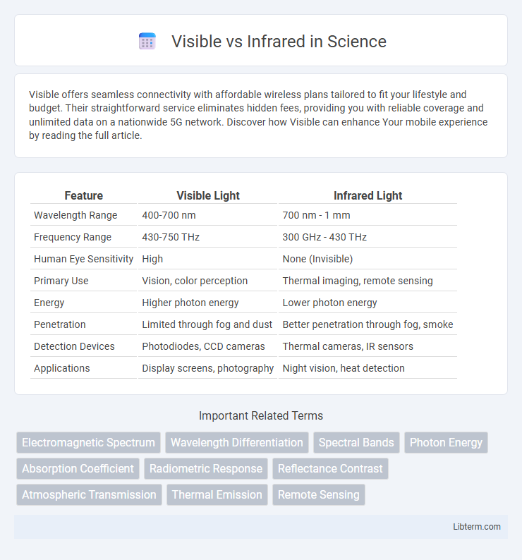 Infrared vs Visible in Science - What is The Difference?