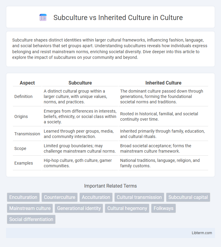 Inherited Culture vs Subculture in Culture - What is The Difference?