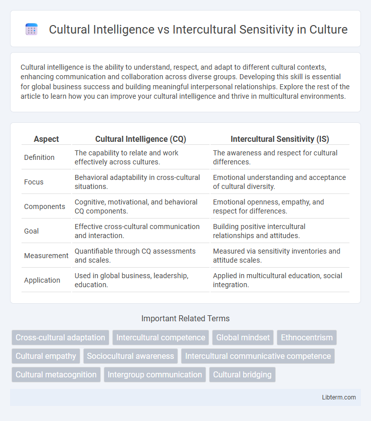 Intercultural Sensitivity vs Cultural Intelligence in Culture - What is The Difference?